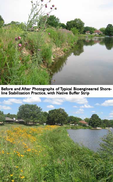 Shoreline stablization before and after